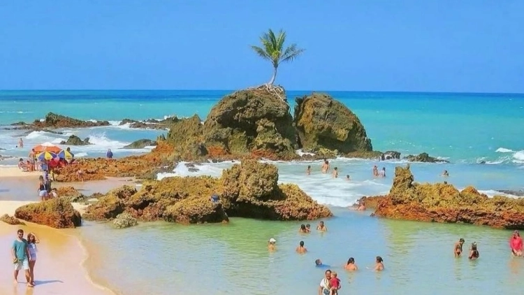 Imagem de vitrine
